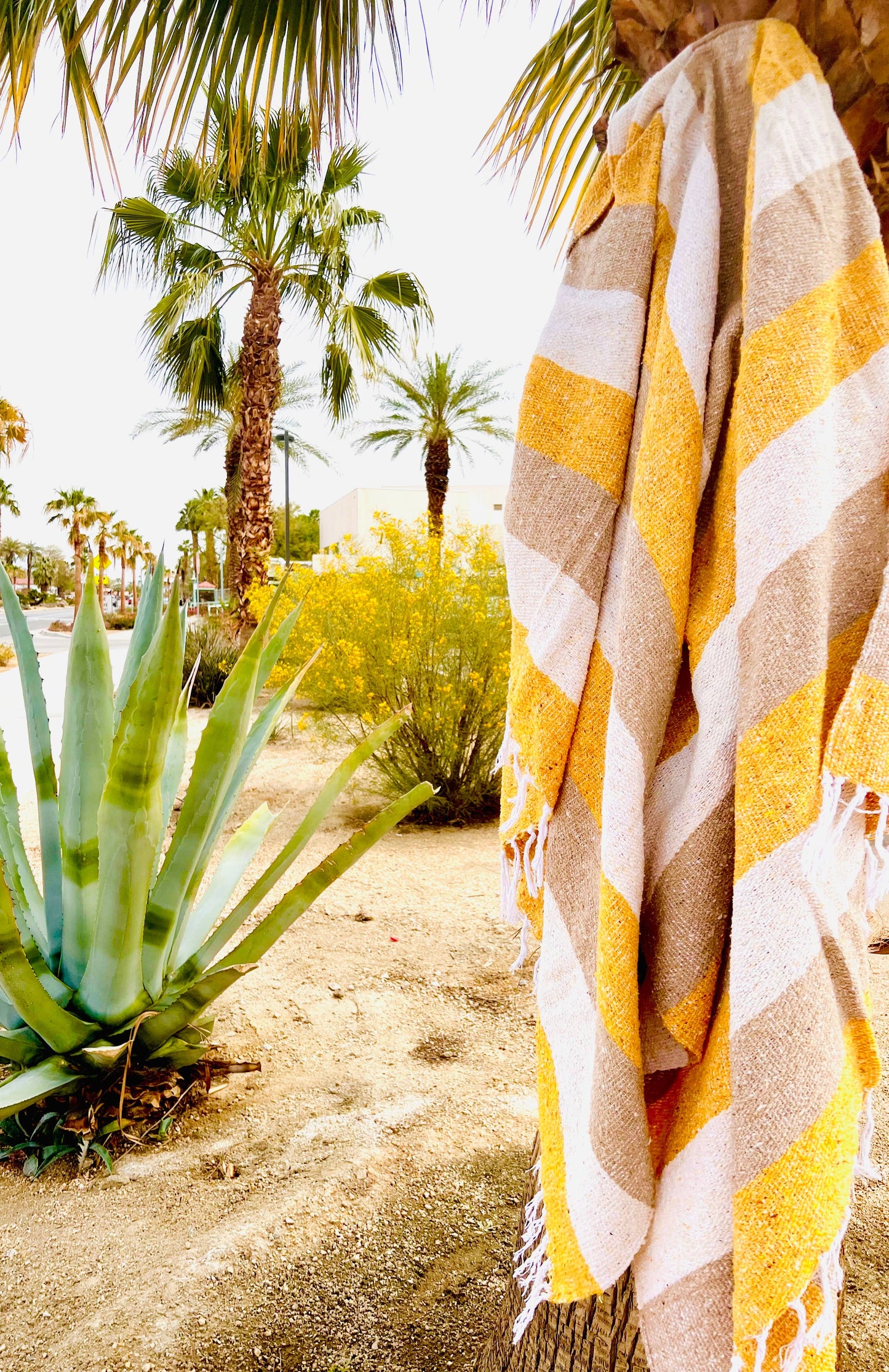 Coconut Flower Mexican Blanket