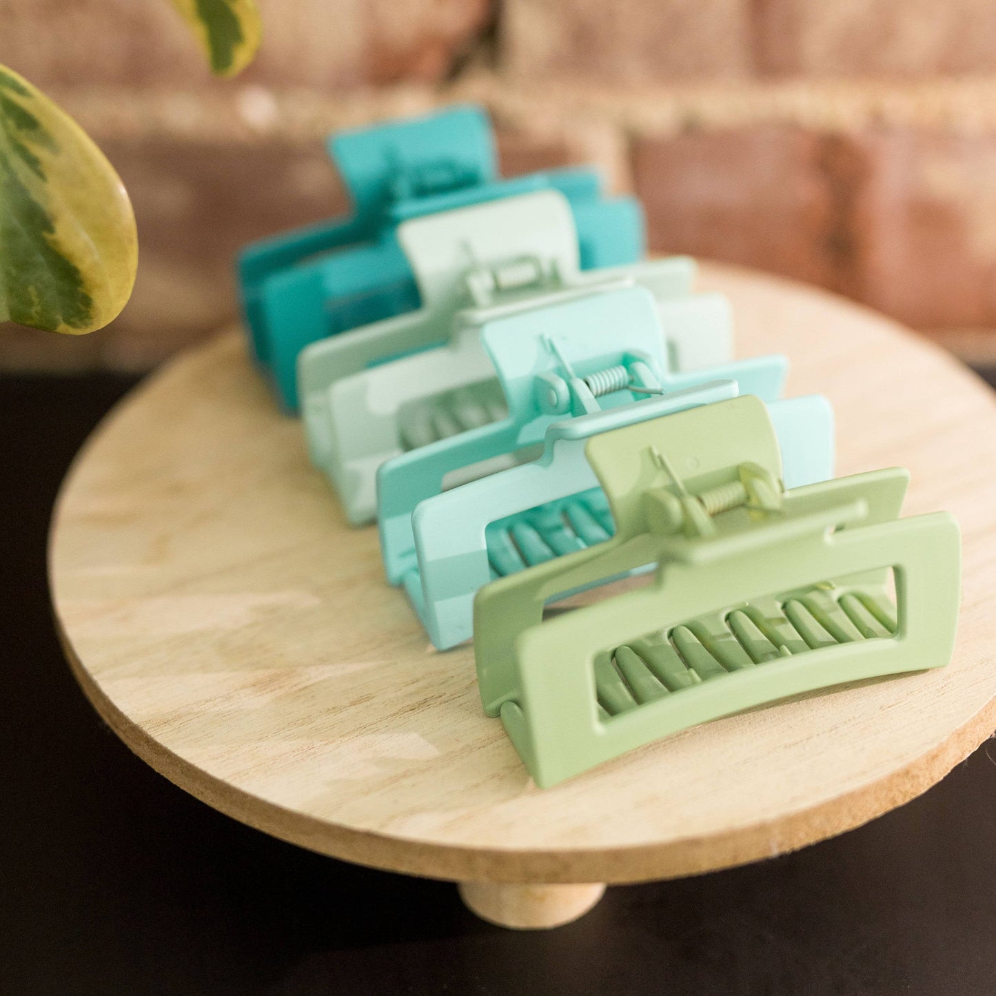 Aloe Clip